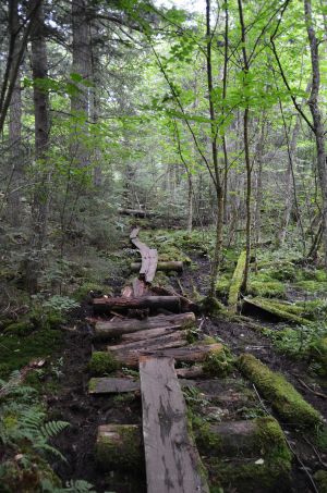 Hiking in the ADKs